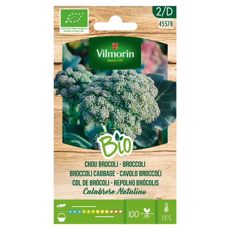 Biologische broccoli zaden Calabrese Natalino van Vilmorin. Een traditionele, halflate variëteit die mooie kroppen vormt.