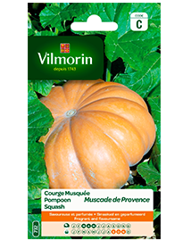 Vilmorin Pompoen zaden Muscade de Provence 2g