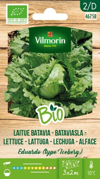 Bio groenten zaden Bataviasla Eduardo (type ijsbergsla)