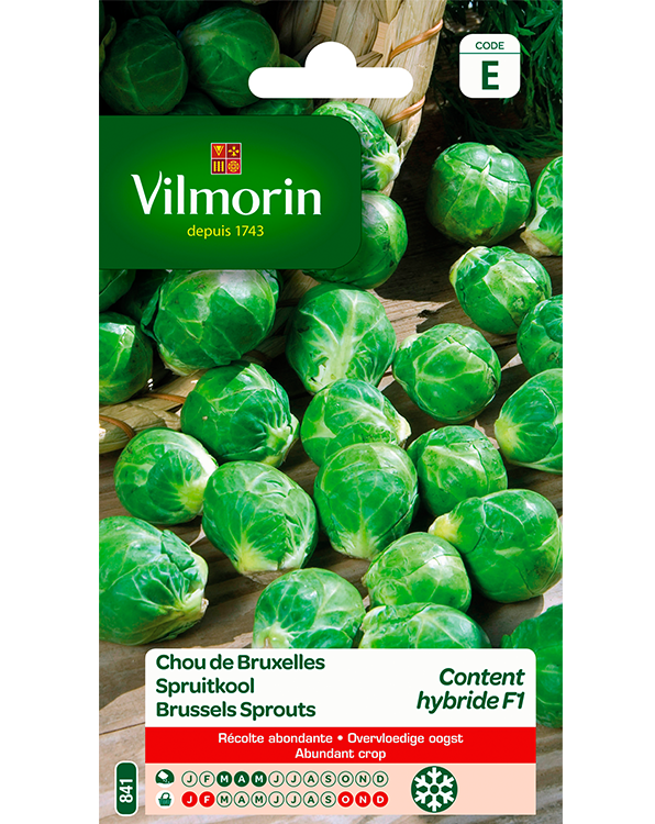 Vilmorin Spruitkool zaden Content HF1 0,8g