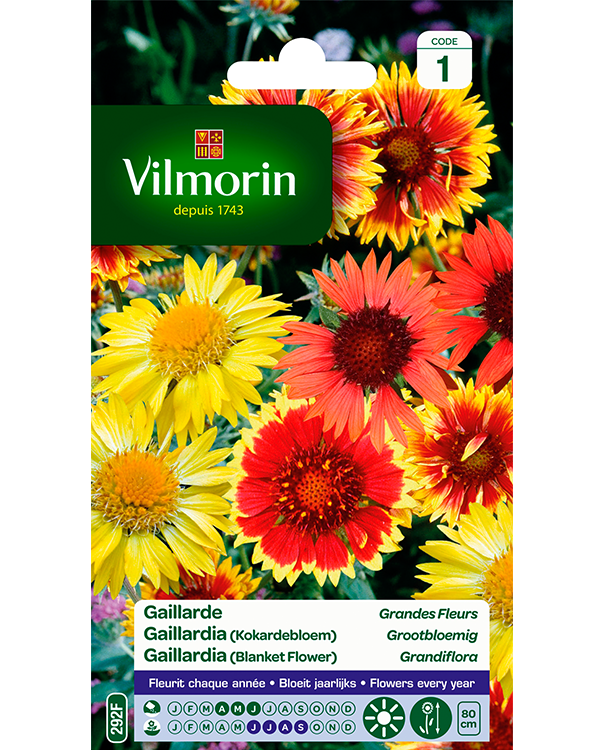 Bloemzaden Gaillardia kokardebloem Grootbloemig 1g