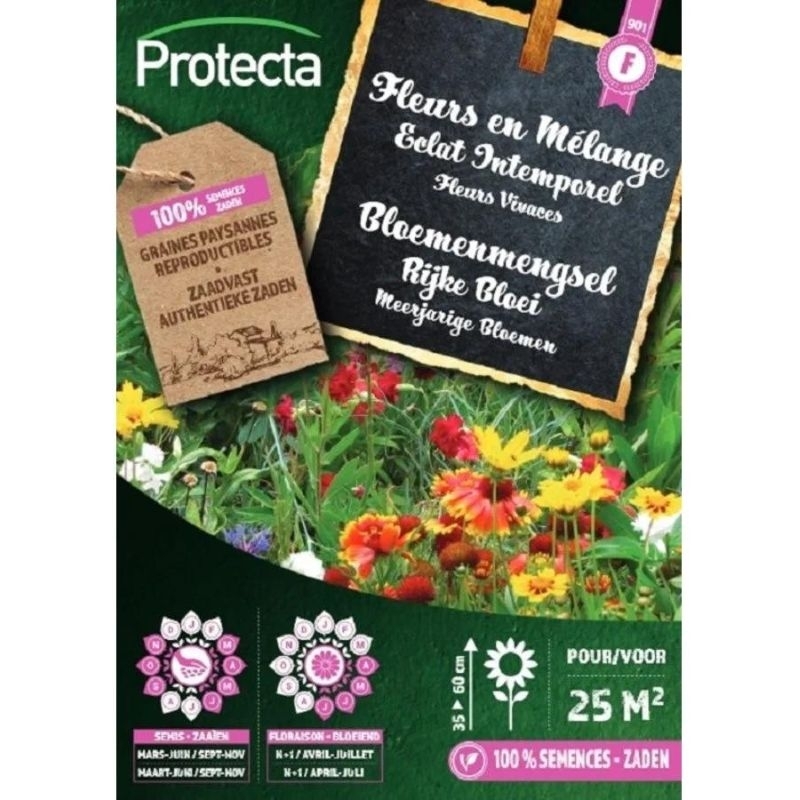 Protecta Bloemenmengsel Rijke Bloei (25m²): Zaadvaste, meerjarige bloemenzaden voor een kleurrijk en langdurig bloeiend bloembed.