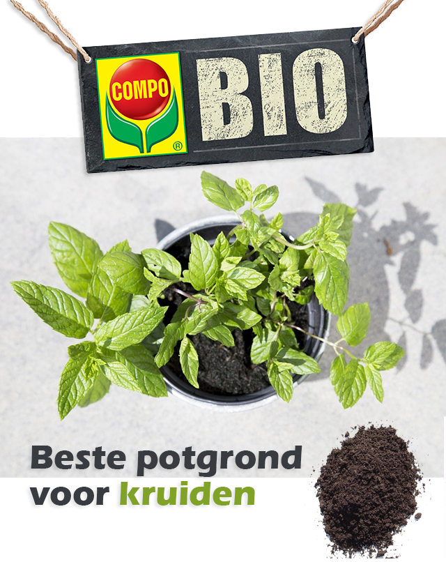 Compo Bio Potgrond voor kruiden 10L