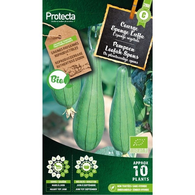 Protecta bio zaadvaste zaden voor de Loofah Spons pompoen: Kweek je eigen unieke, eetbare pompoenen die ook gebruikt kunnen worden als natuurlijke spons.