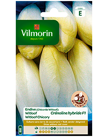 Vilmorin Witloof zaden Crénoline HF1 4g