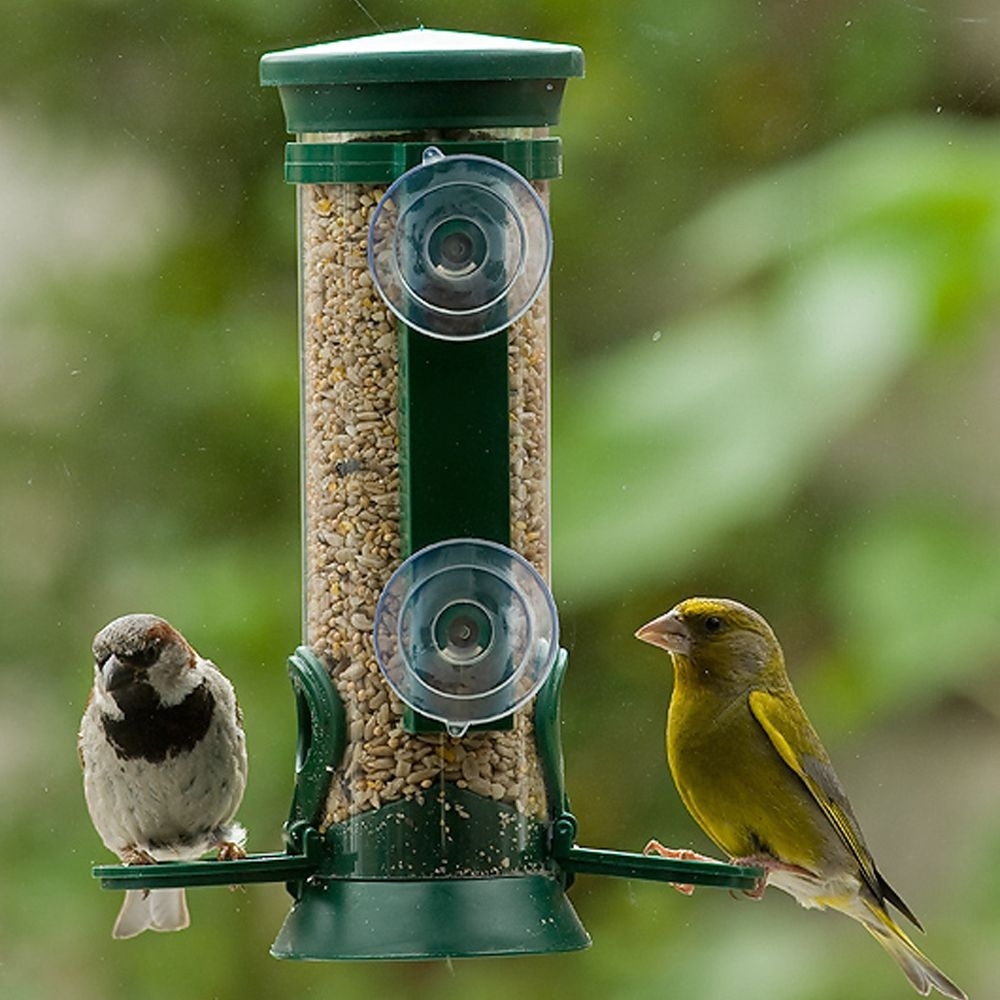 Groene Discovery raamsilo voor zaden, bevestigd aan een raam met zuignappen, klaar om vogels te voederen.