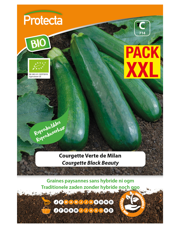 BIO Zaadvaste Courgette Zaden Black Beauty XXL