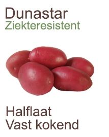 Pootaardappelen Dunastar 1 Kg | Vastkokende Rode Aardappel