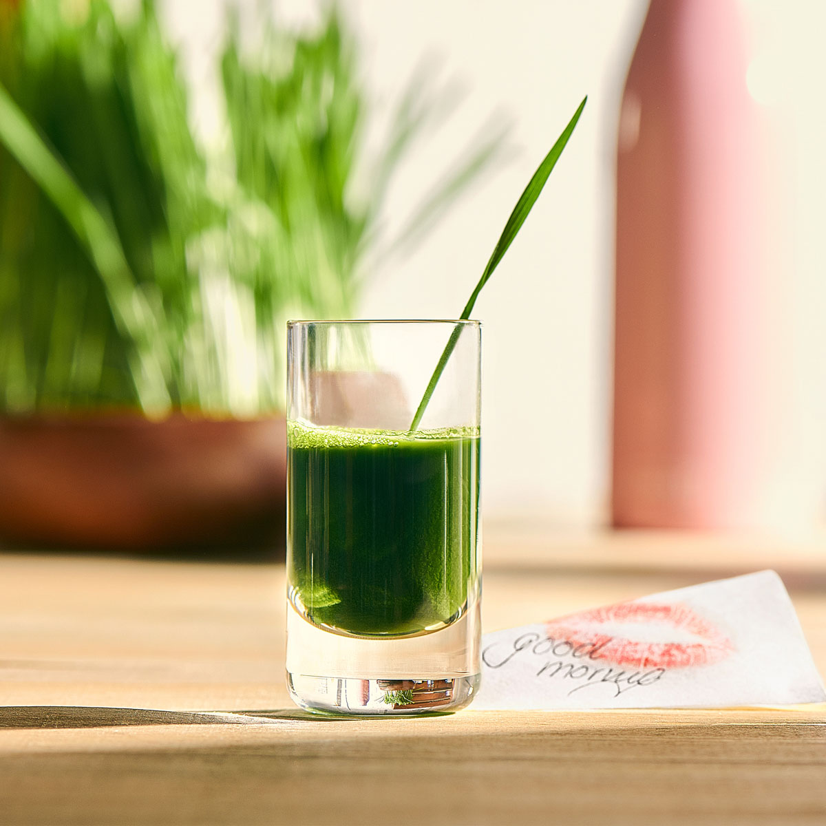 Weizengrassaft: Ein echtes Superfood! Vollgepackt mit Vitaminen, Mineralstoffen und Chlorophyll bringt Weizengras grüne Power ins Glas. Am besten kaltgepresst mit dem Lurch Slow Juicer.