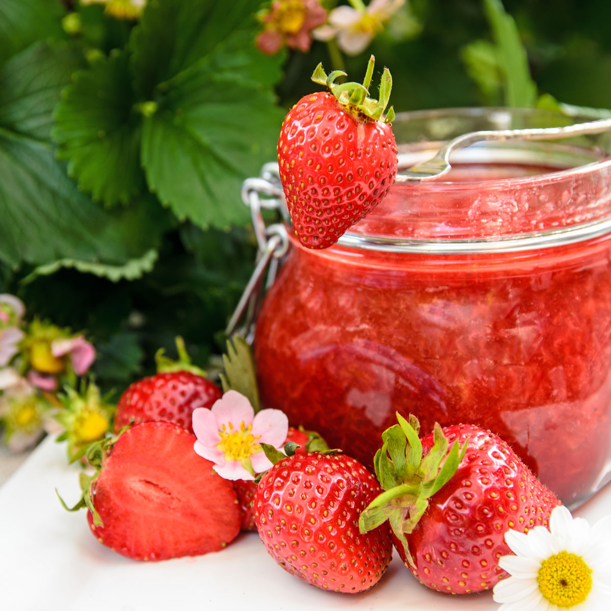 Erdbeeren lagern und Tipps