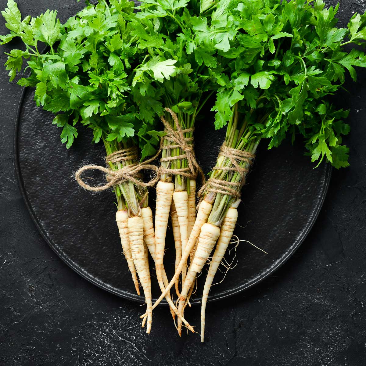 Wurzelpetersilie Wintergemüse Ratgeber