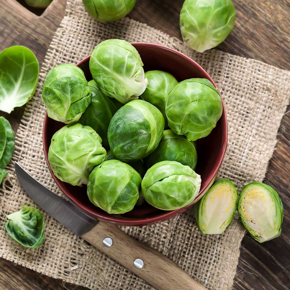 Rosenkohl Wintergemüse Ratgeber