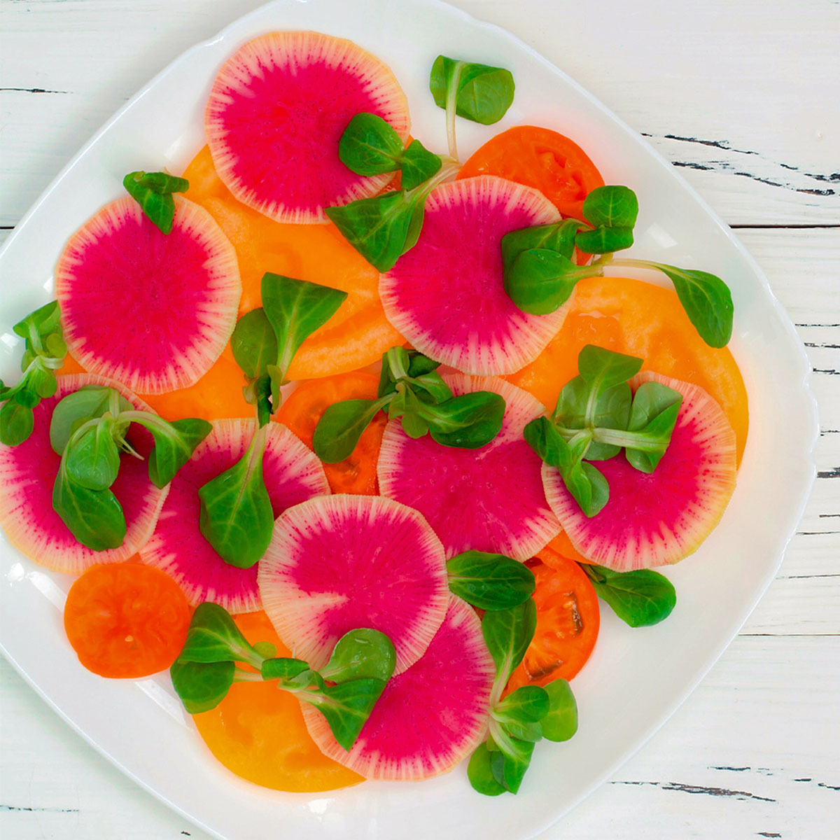 Tomaten-Carpaccio mit Rettich: Frisch, leicht und vielseitig – hauchdünne Tomaten und Rettichscheiben, verfeinert mit Feldsalat und würziger Marinade. Ideal zu jeder Tageszeit! Schnell zubereitet mit dem Lurch Multi Chopper.