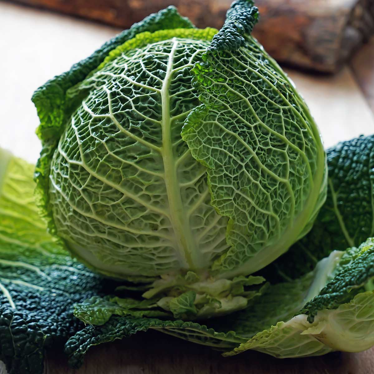 Wirsing Wintergemüse Ratgeber