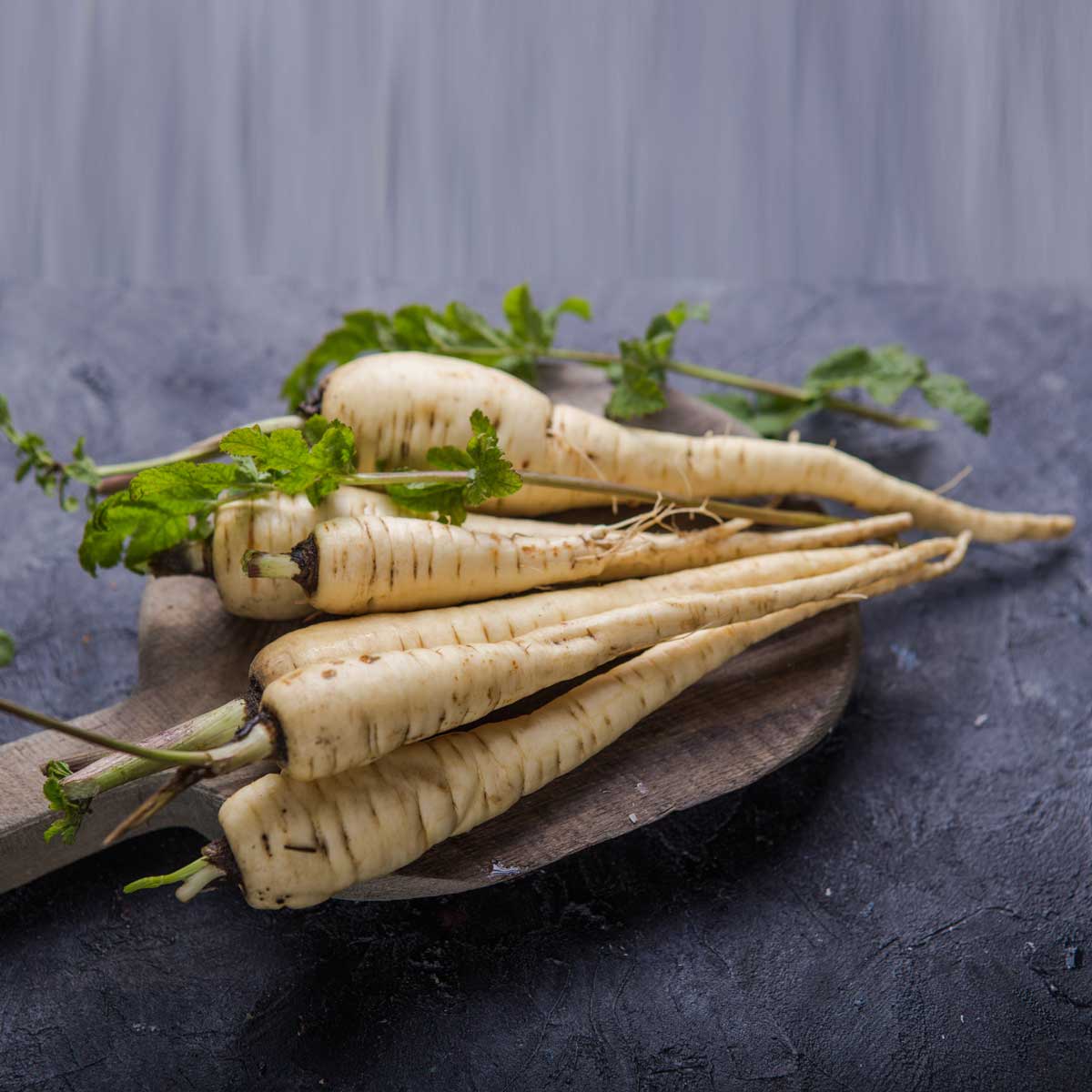 Pastinaken Wintergemüse Ratgeber