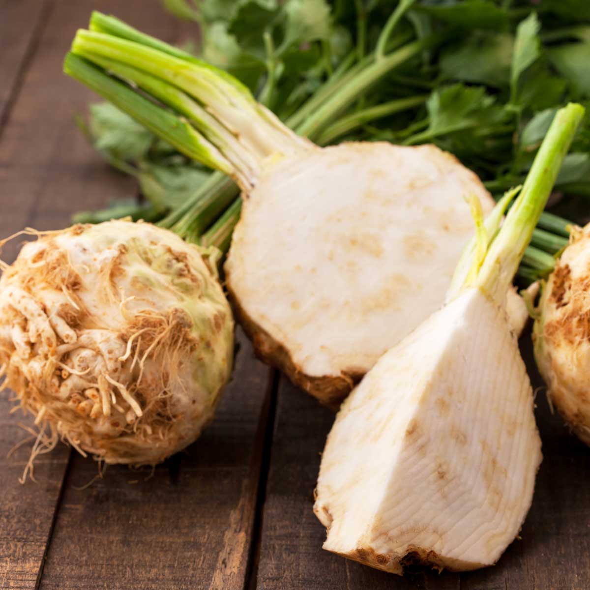 Knollensellerie Wintergemüse Ratgeber