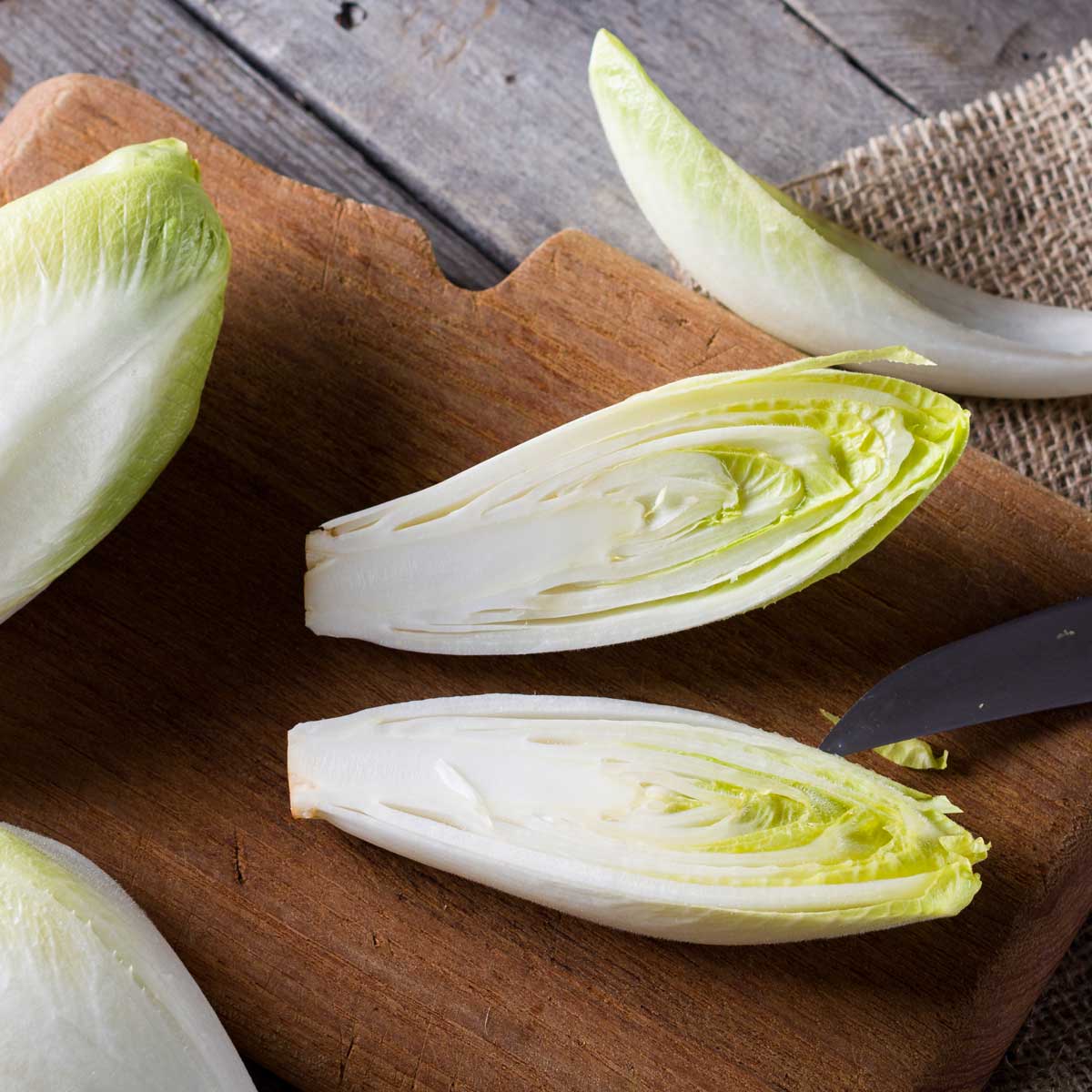 Zuckerhut - Endivie Wintergemüse Ratgeber