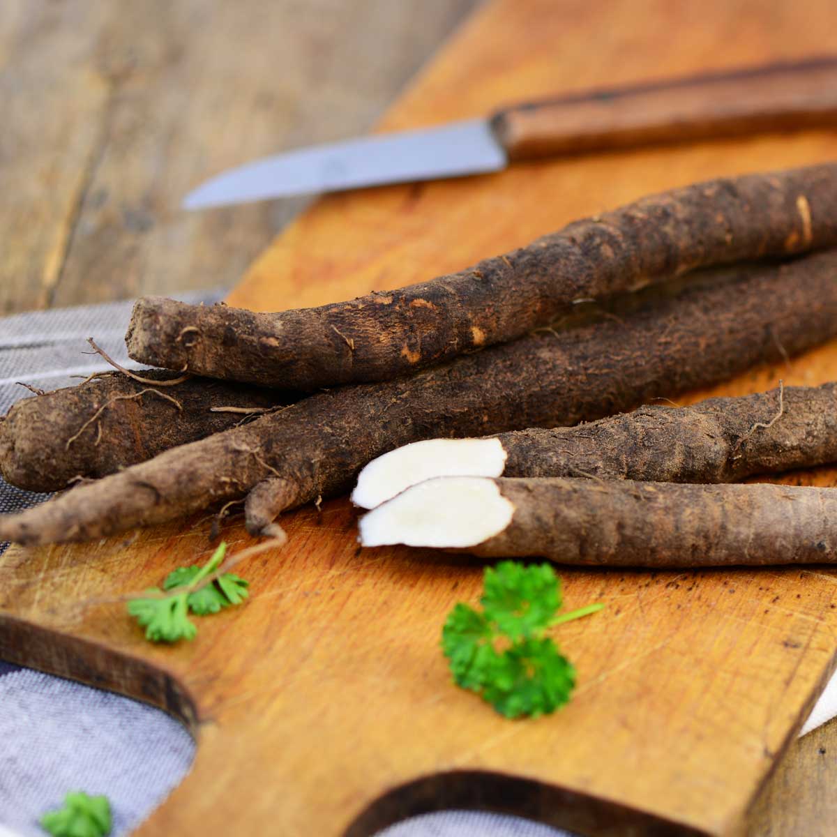 Schwarzwurzeln Wintergemüse Ratgeber