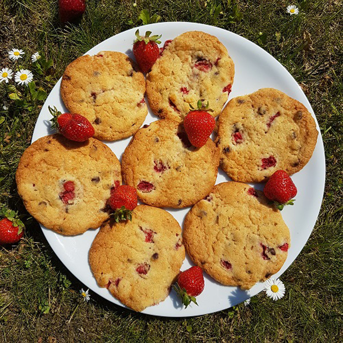 Erdbeer-Schoko-Cookies auf der Lurch Backunterlage: Saftige Cookies mit süßen Erdbeeren und Schokolade – einfach zum Dahinschmelzen!