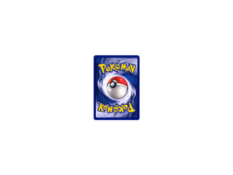 Eine Sammelkarte des Pokemon Sammelkarten Spiels 