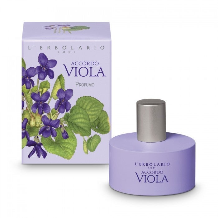 Flasche, Blume, Pflanze, Kiste