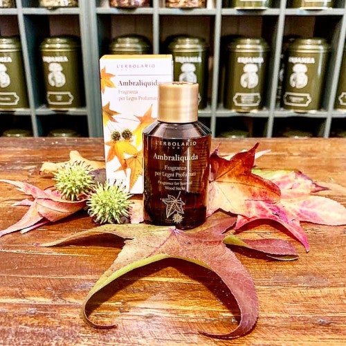 AMBRALIQUIDA Parfum d'ambiance avec bâtonnets en bois