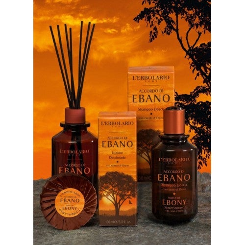 ACCORDO DI EBANO Parfum d'ambiance avec bâtonnets en bois