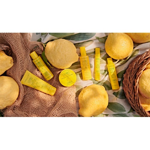 Shampooing/douche solide Calabrian Citron en boîte