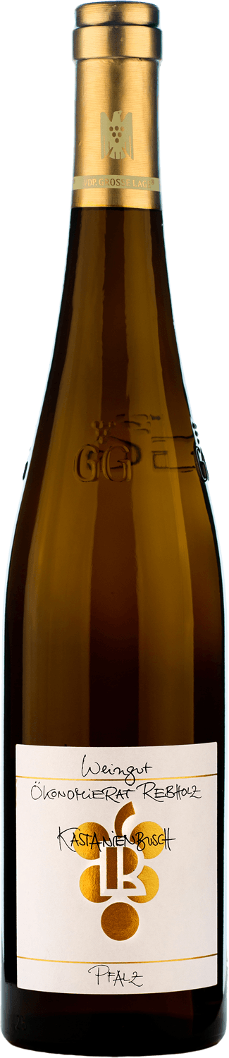 Ökonomierat Rebholz Riesling Kastanienbusch Grosses Gewächs 2023
