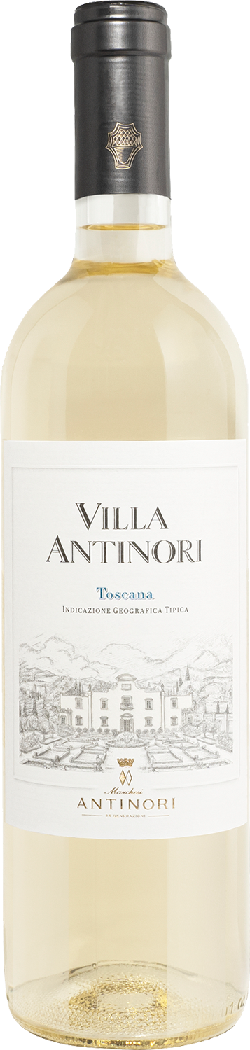 Villa Antinori Bianco 2024 | 12 Flaschen