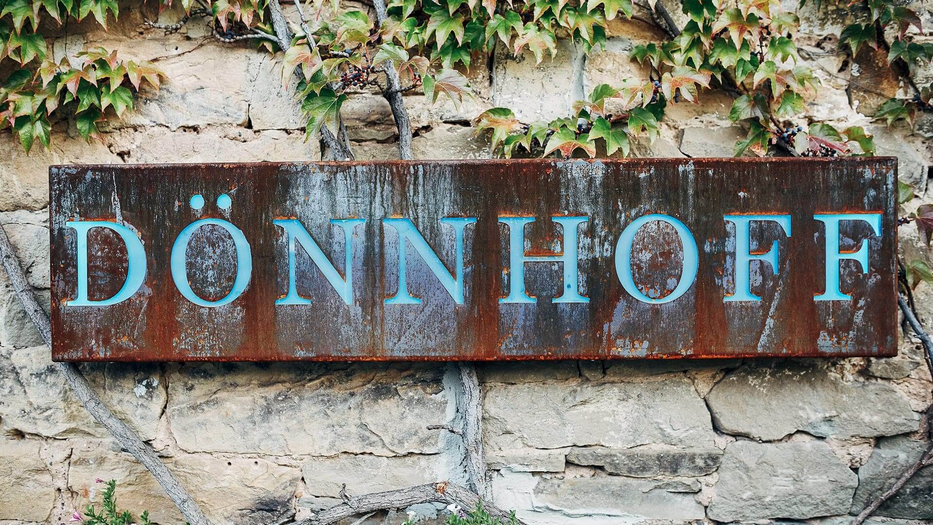 doennhoff-weingut-2 (1)