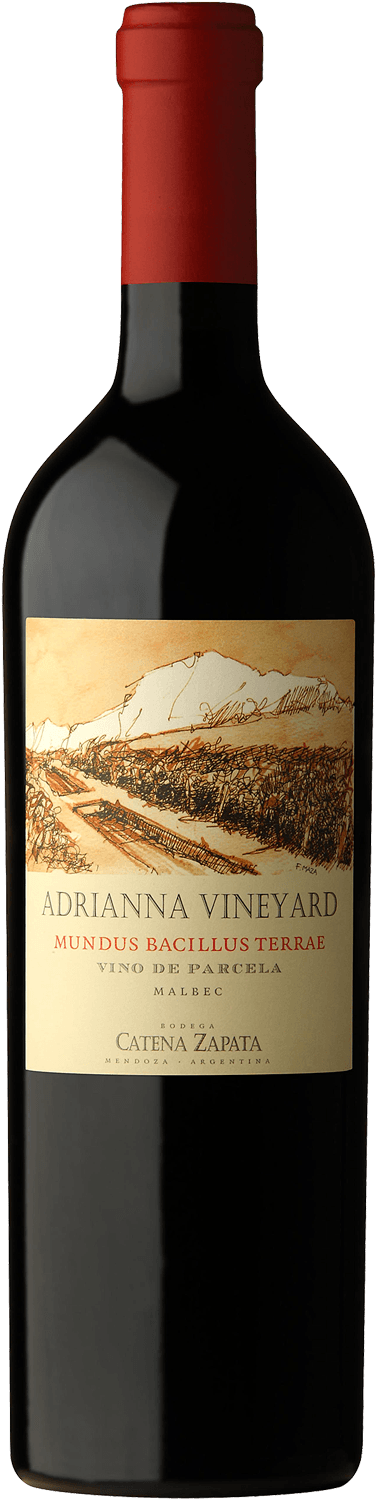 Catena Zapata Mundus Bacillus Terrae Adrianna Vineyard 2021