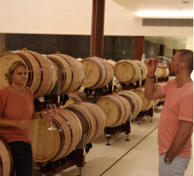 MALLORCAS BESTER WEIN  PREMIUM WEIN
