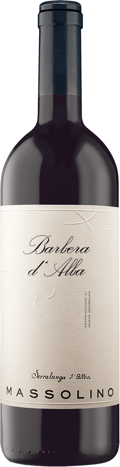 Massolino Barbera d'Alba 2022