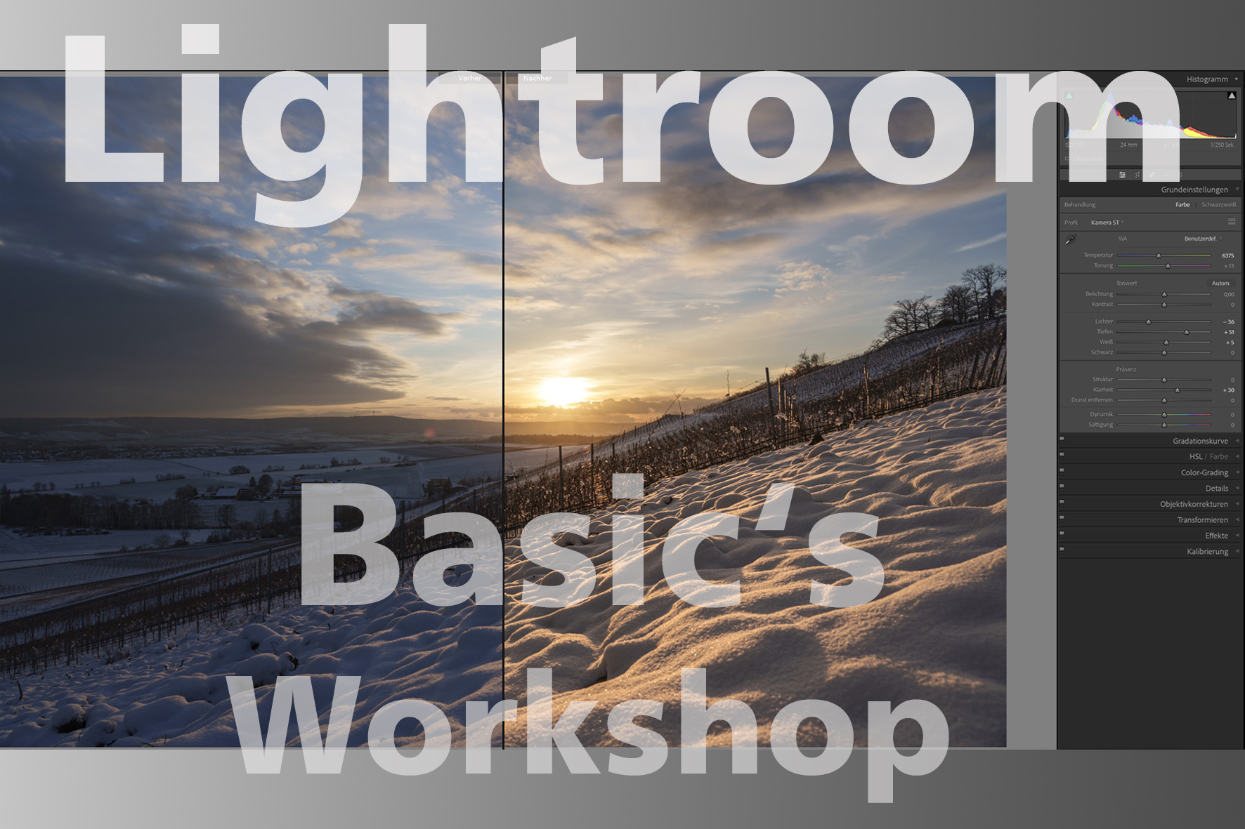 Basics | Adobe "Lightroom Classic" - Workshop