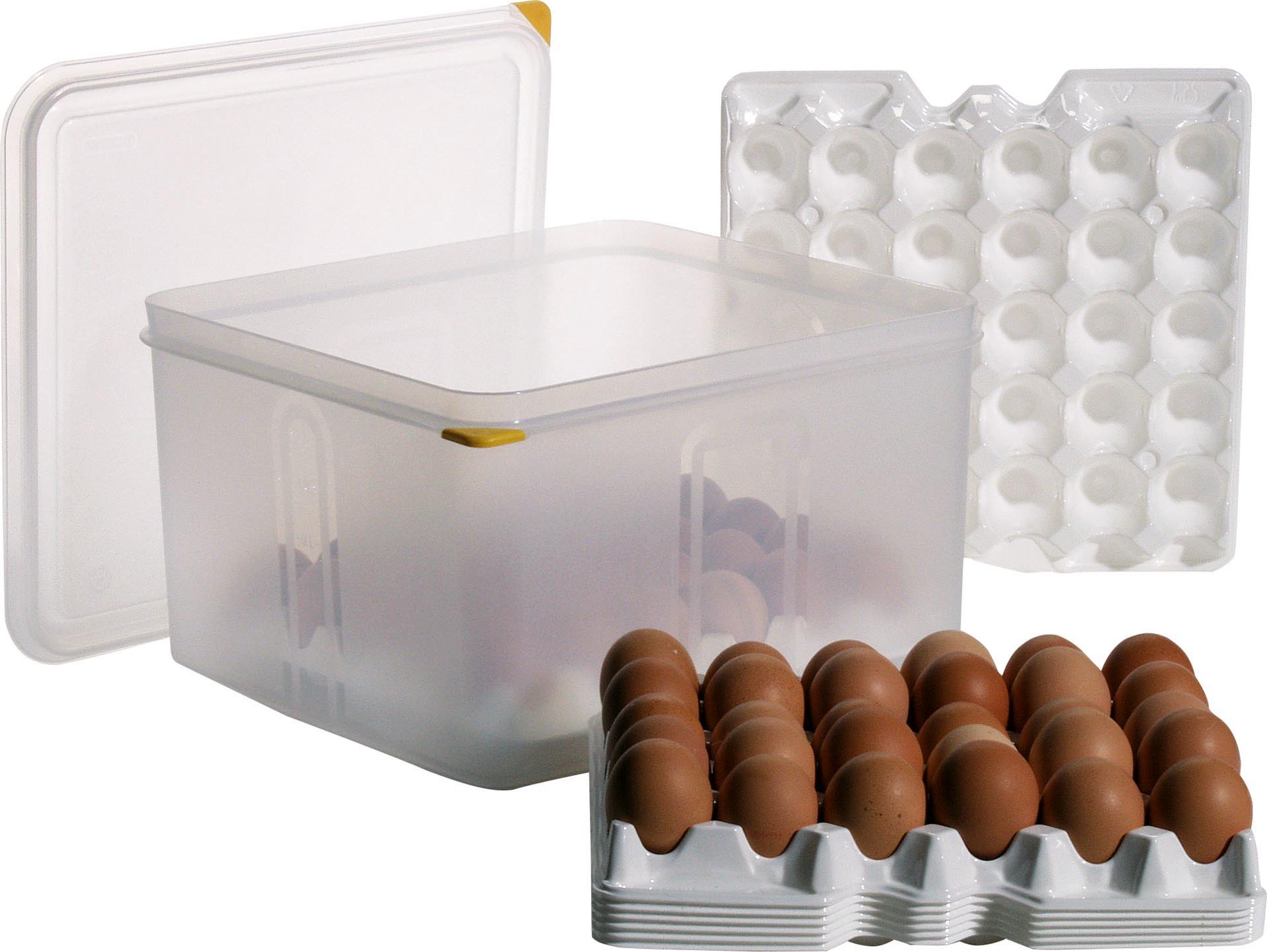 Ersatztablett für Eierbox