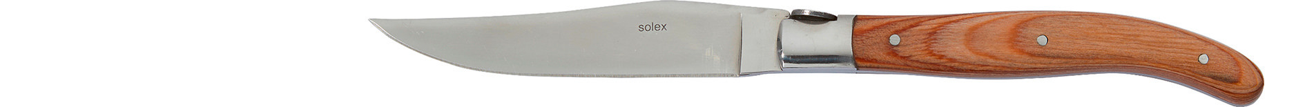 Steakmesser 224 mm mit hellem Pakka-Holzgriff