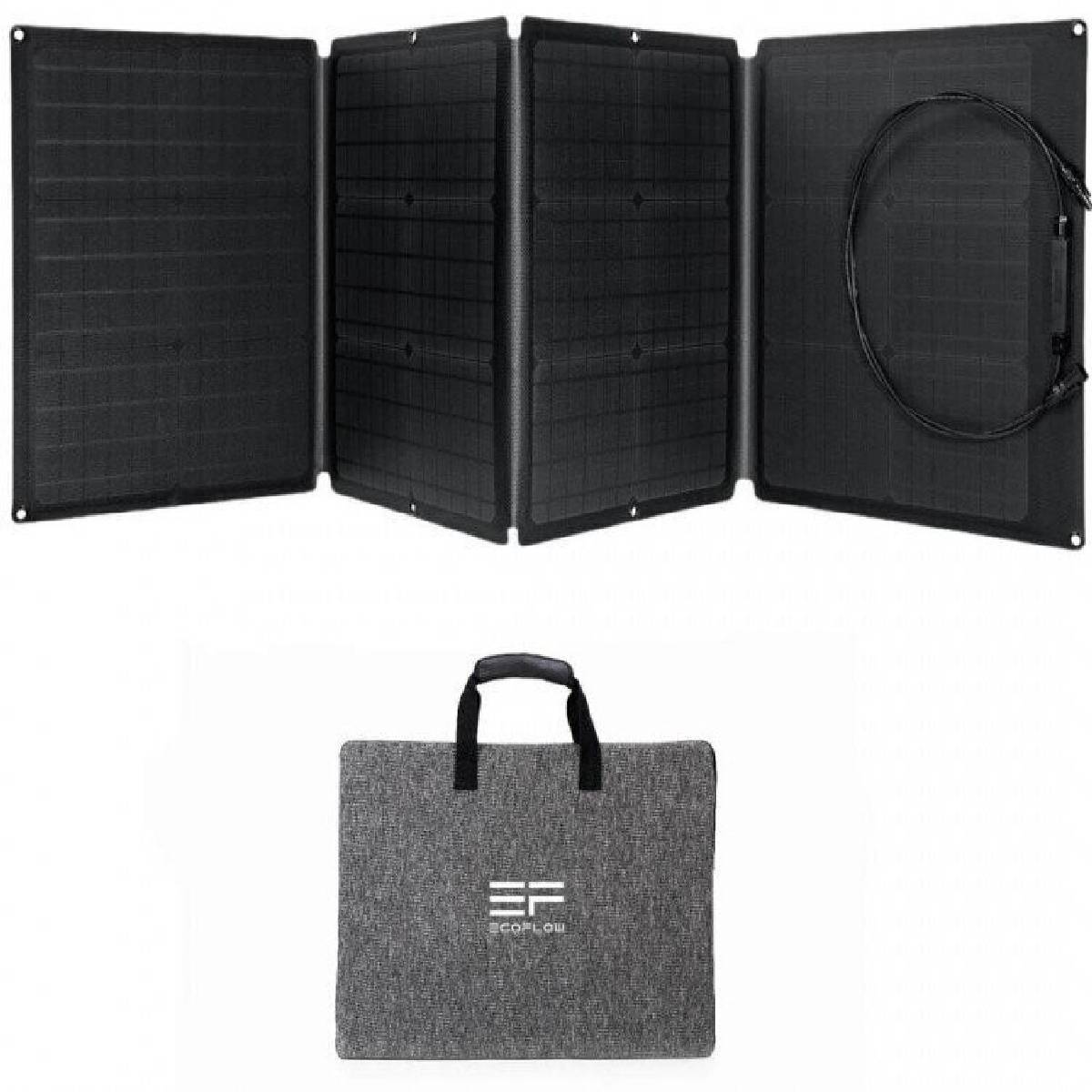 EcoFlow River 2 Pro 768Wh Portable Powerstation mit 110W Solarpanel  