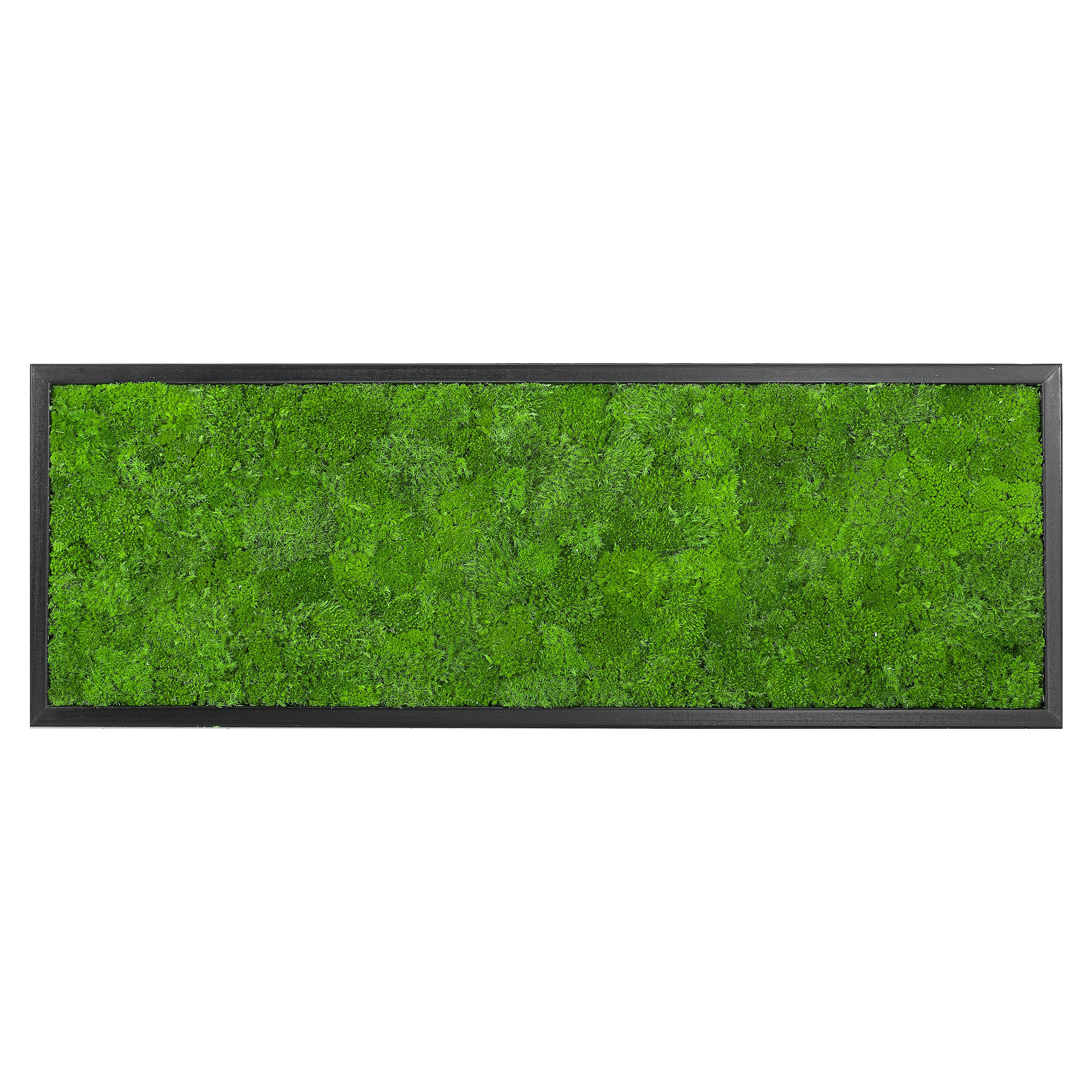 Wave_Design_60x30S_1_