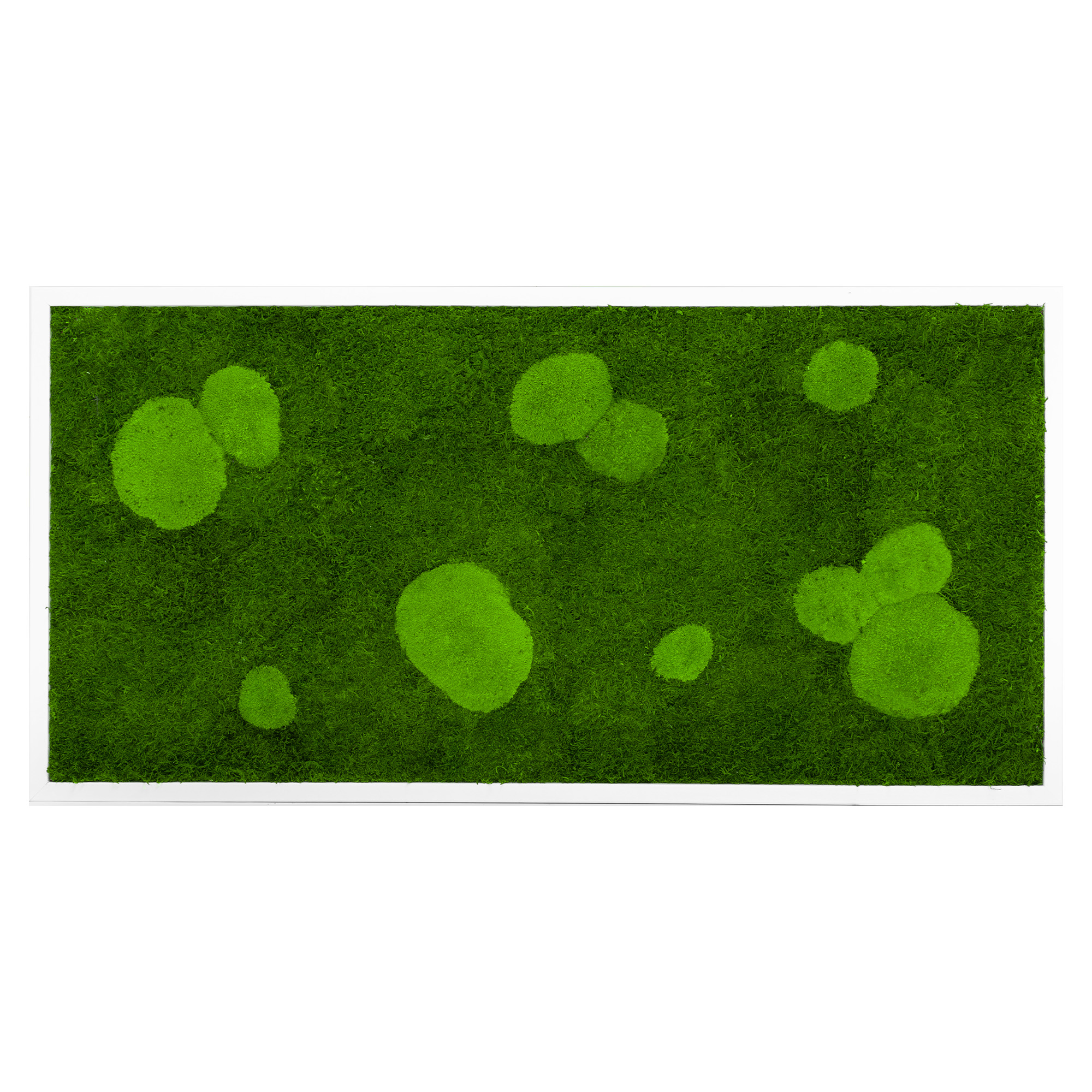 Moosbild Forest Design (110x55, weiß)