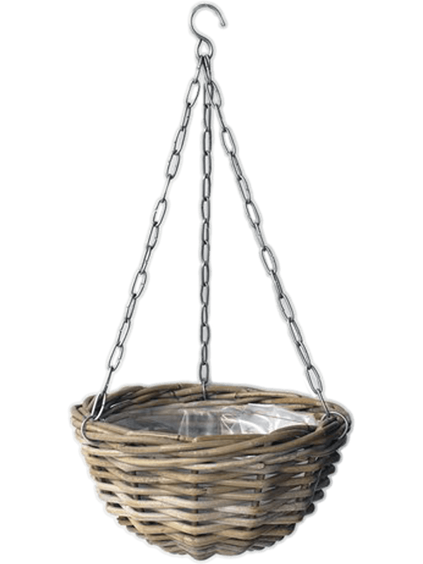 Rattan (19)