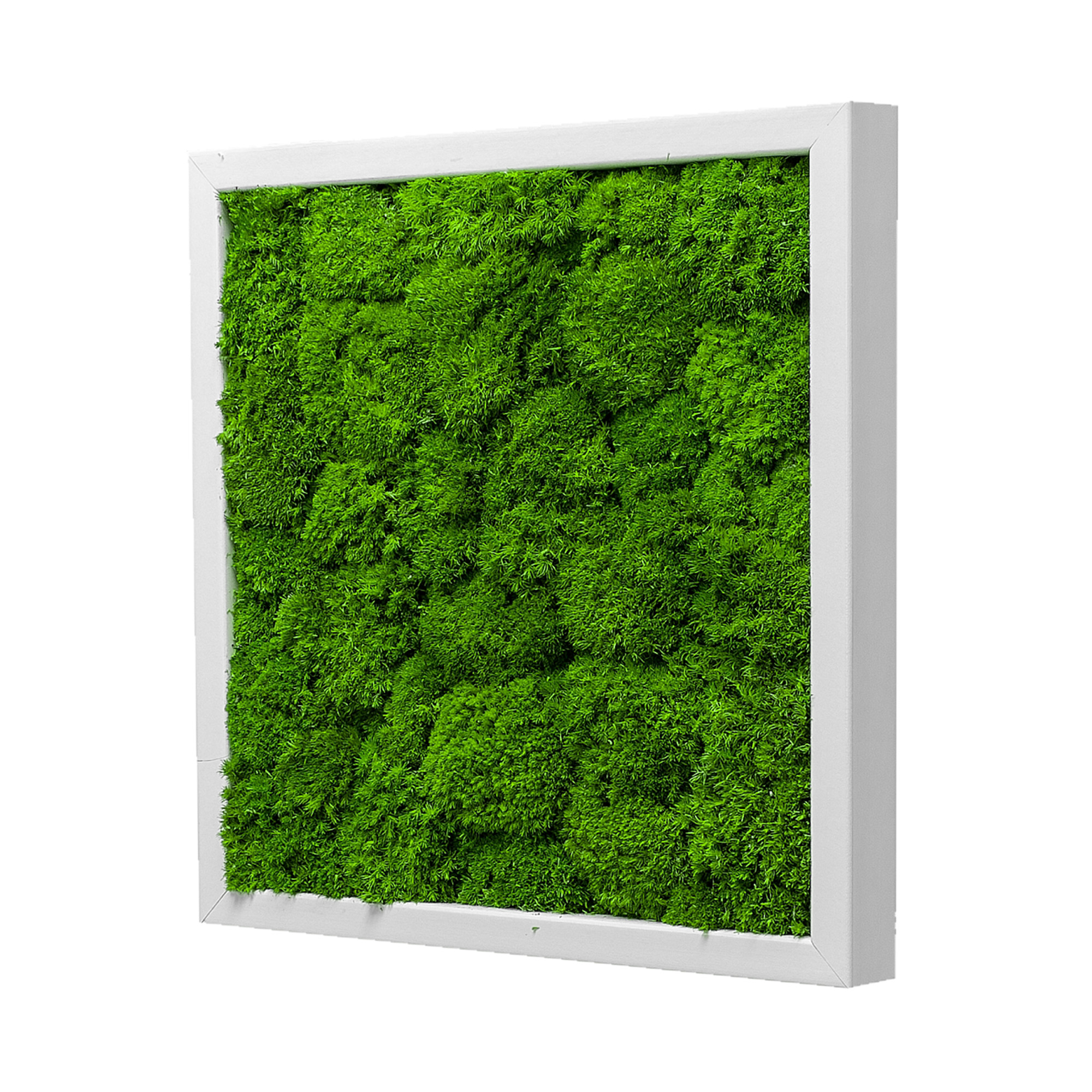 Wave_Design_35x35W_