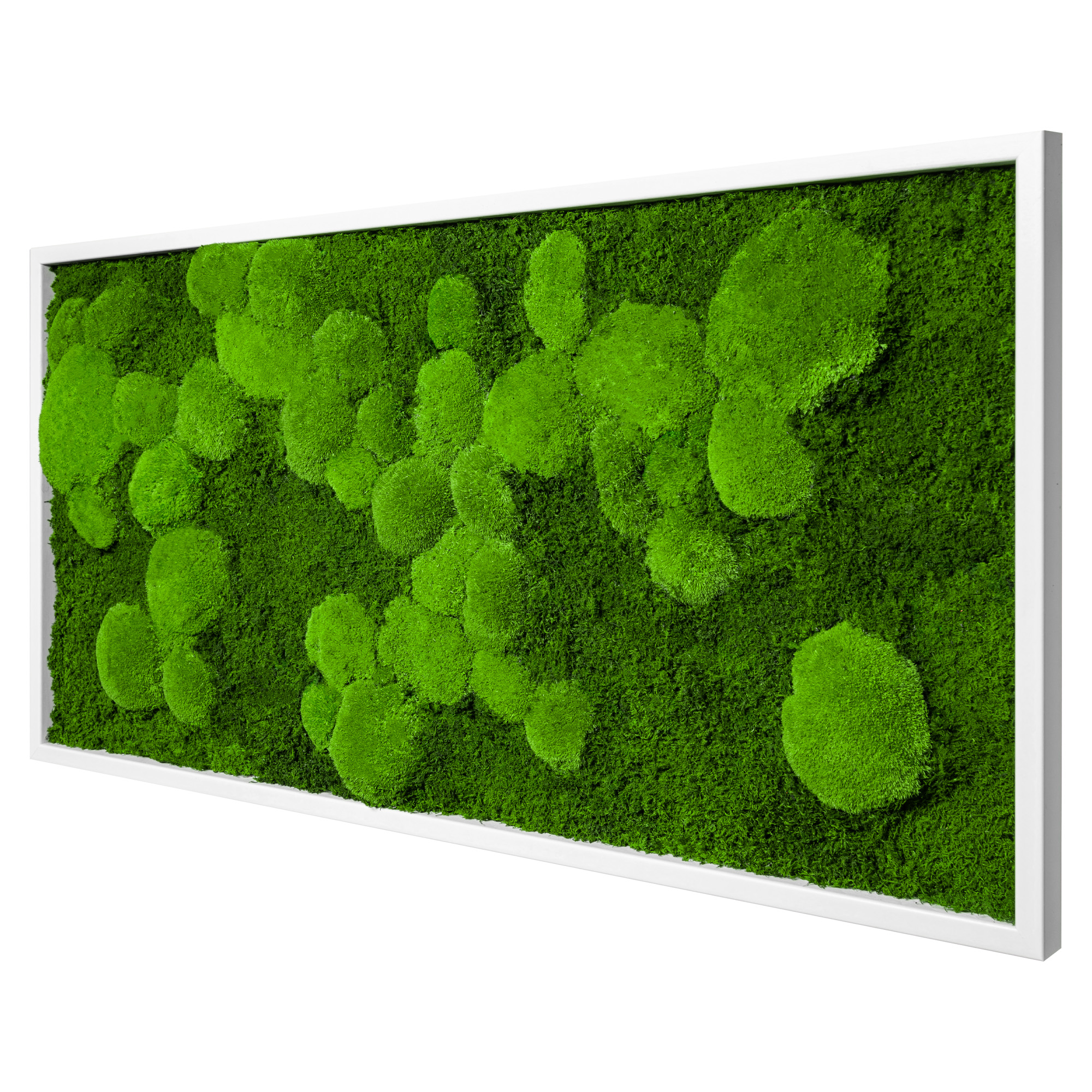 Moosbild Fifty Fifty Design (110x55, weiß)
