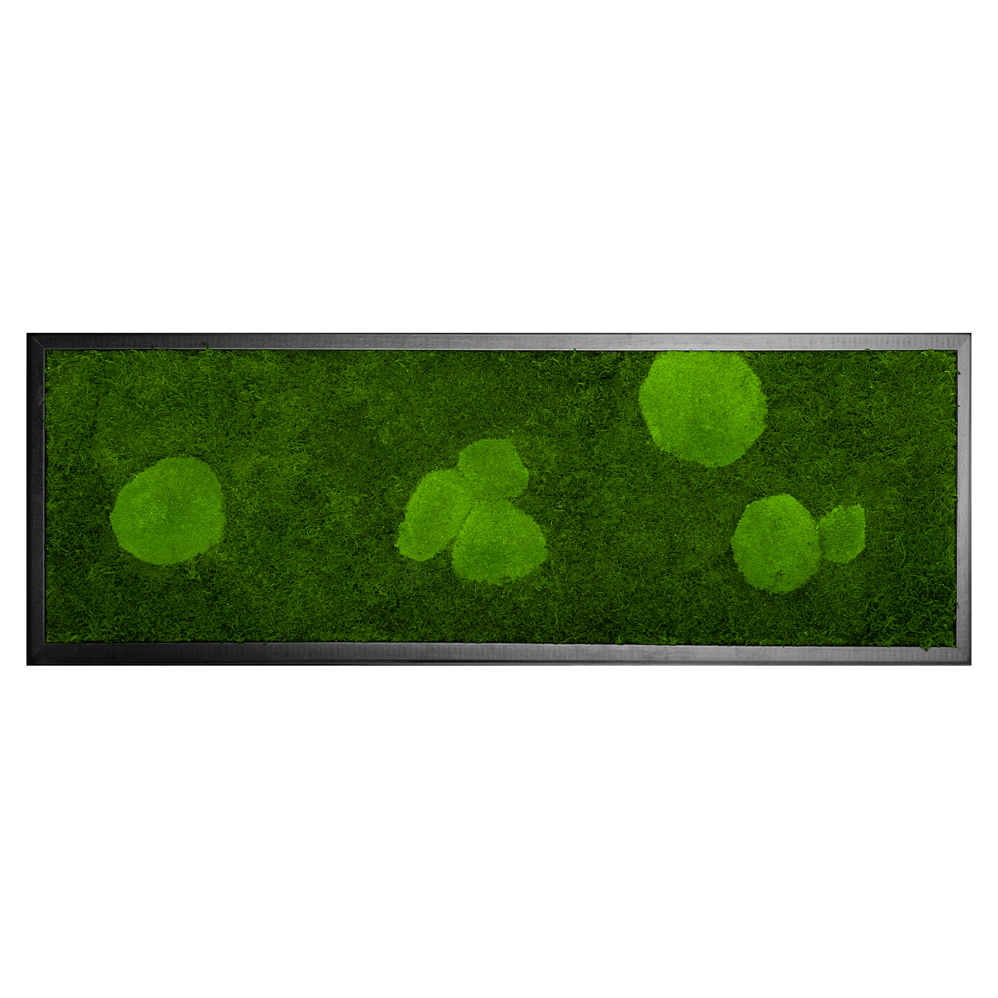 FOR_100x35S_1_