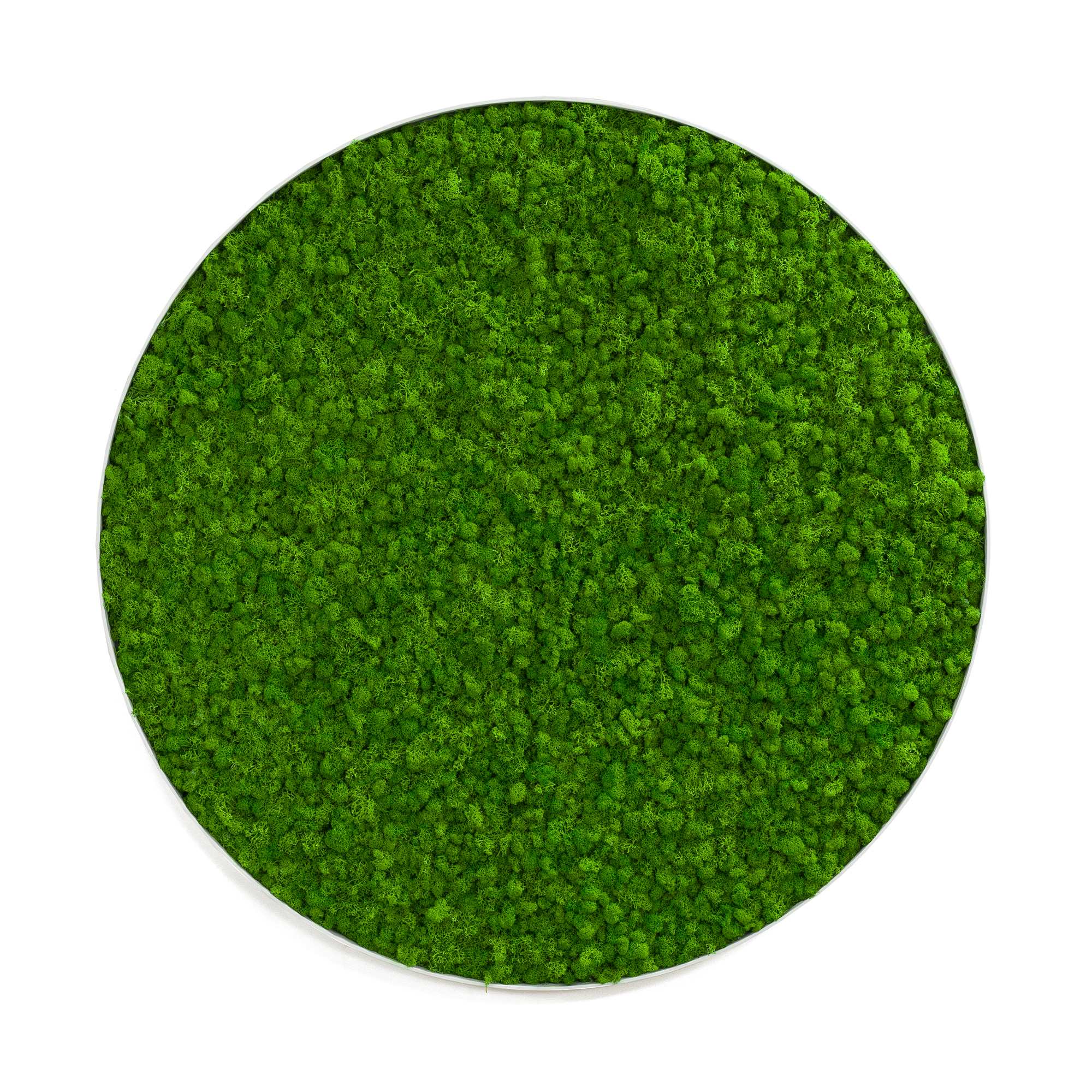 Rundes Moosbild Iceland Design (⌀90 cm, weiß)