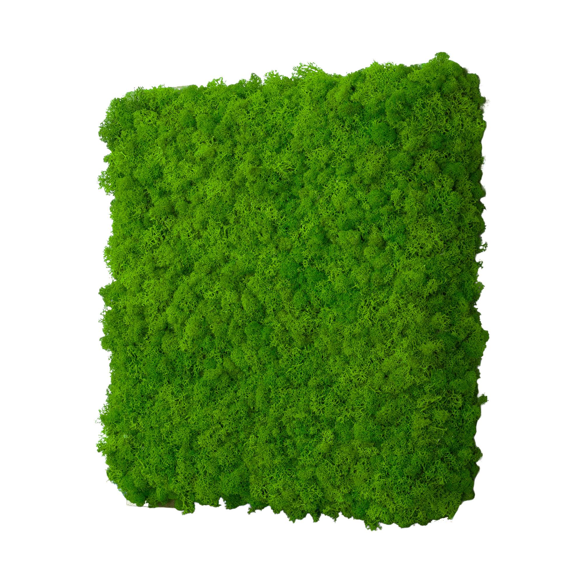 1-45x45-ISL-ORI_1