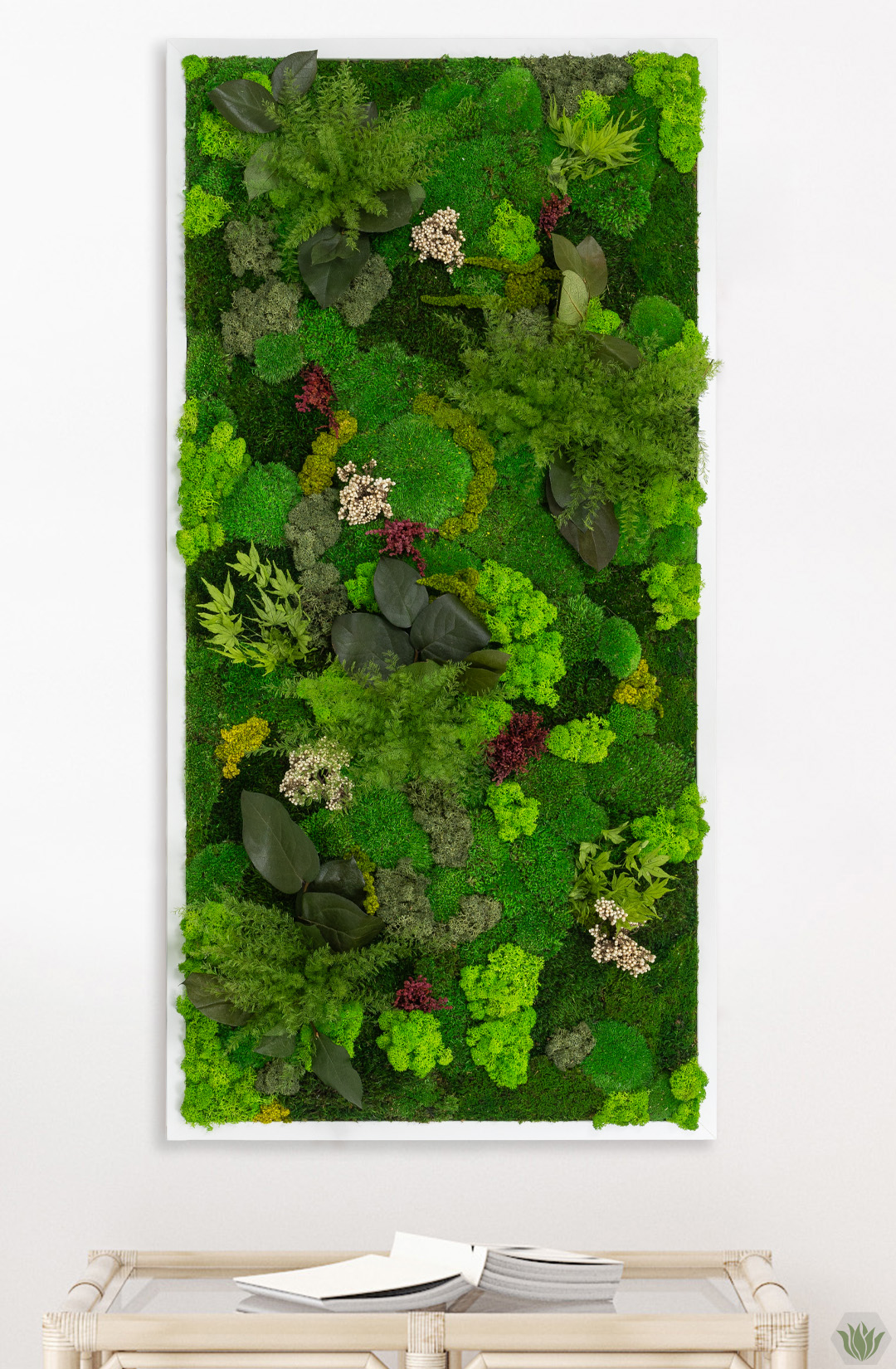 Dschungelmoosbild-Kategorie