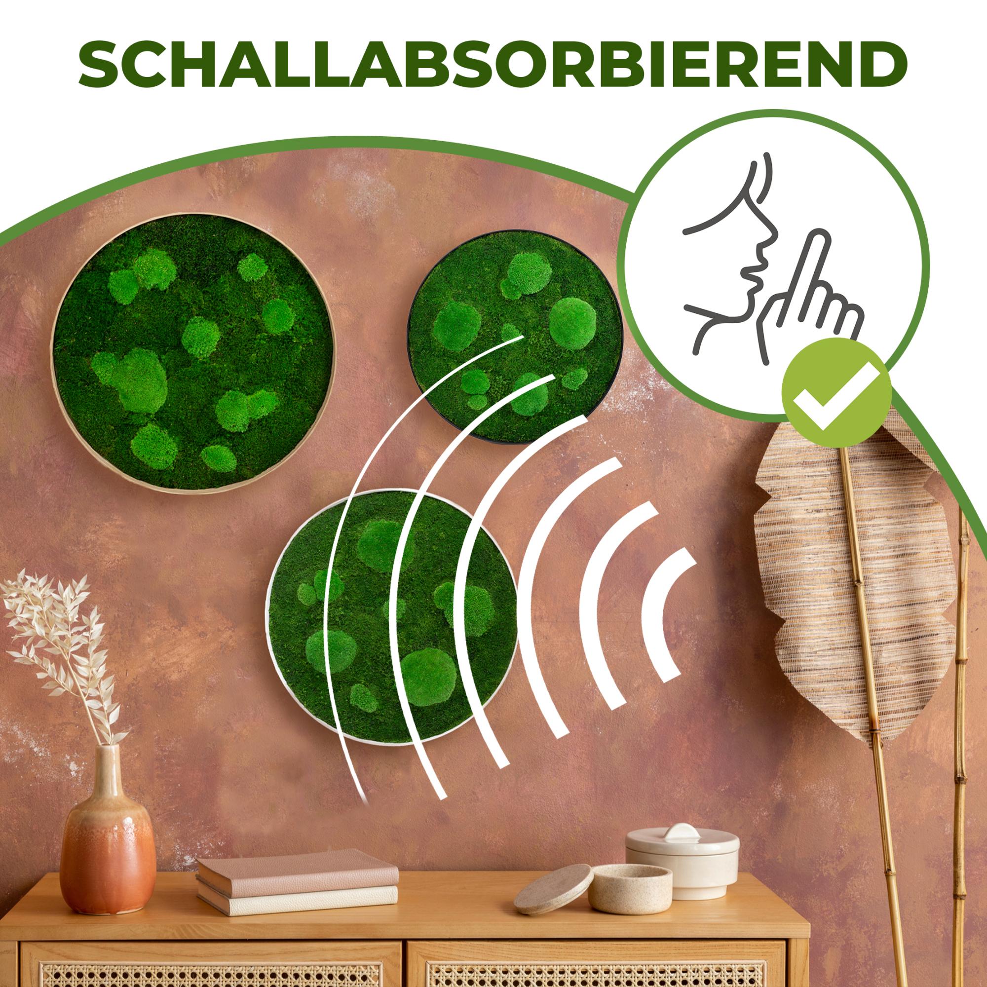 _FOR-Schallabsorbierend