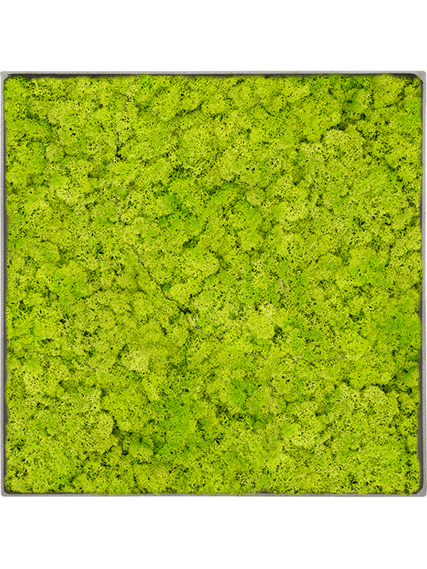 Moss Painting (5)