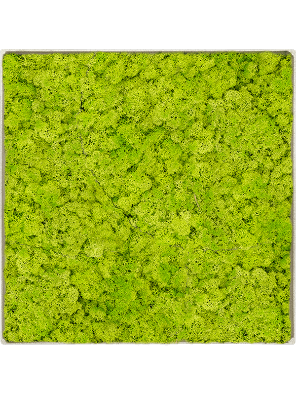 Moss Painting (5)